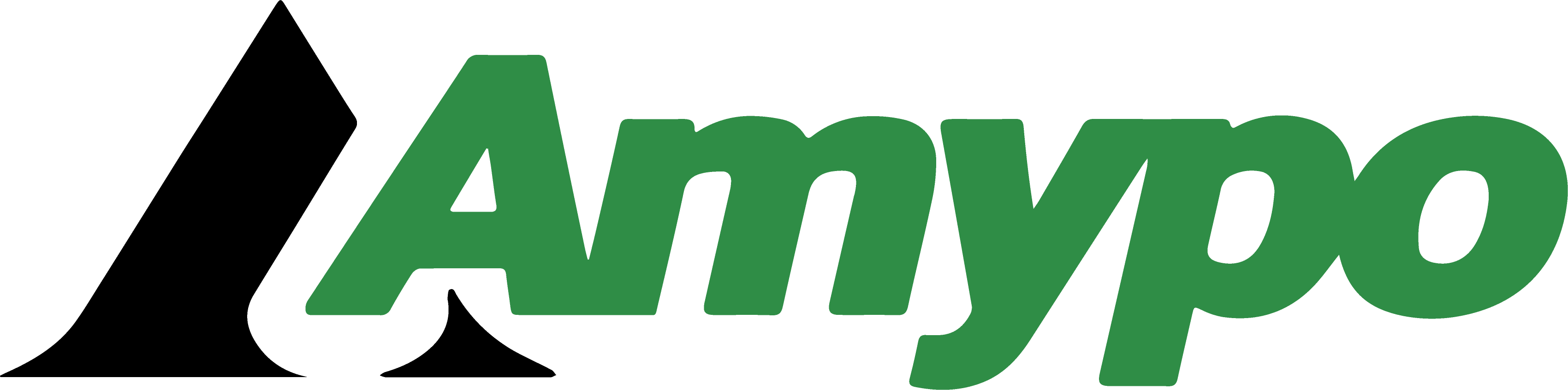 AMYPO Logo